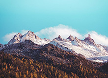 开云体育下载-WTT重庆冠军赛-王艺迪3-1逆转高达 晋级女单16强